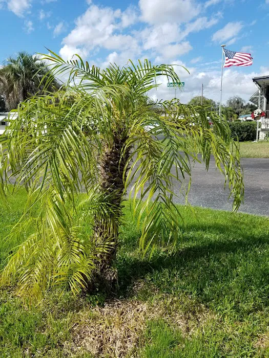 Tropical Mobile Home Park Picture 2