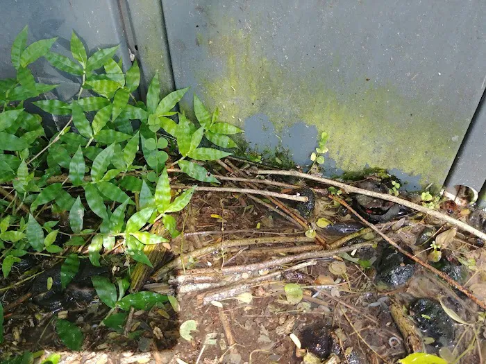 Halliday Village Mobile Home Picture 2