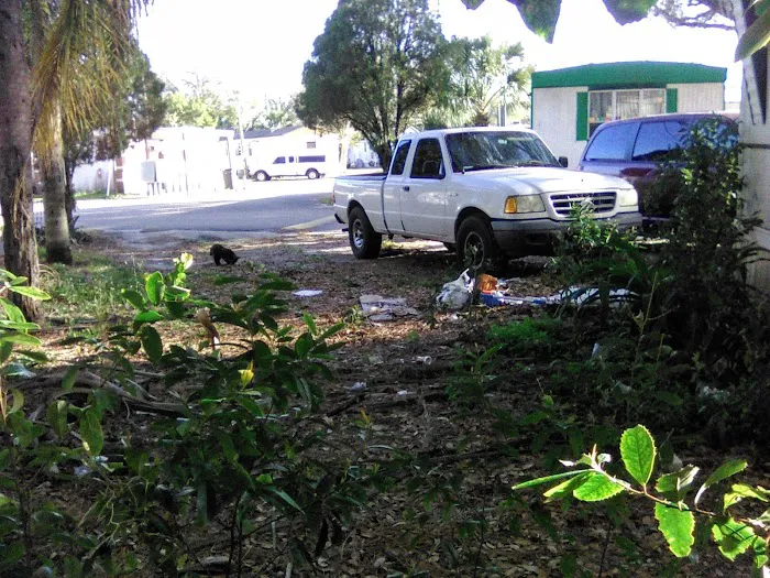 Halliday Village Mobile Home Picture 6