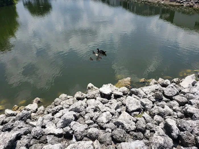 Hacienda Village Picture 10