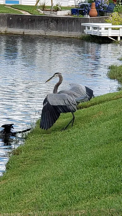 Tanglewood Mobile Village Association Picture 3