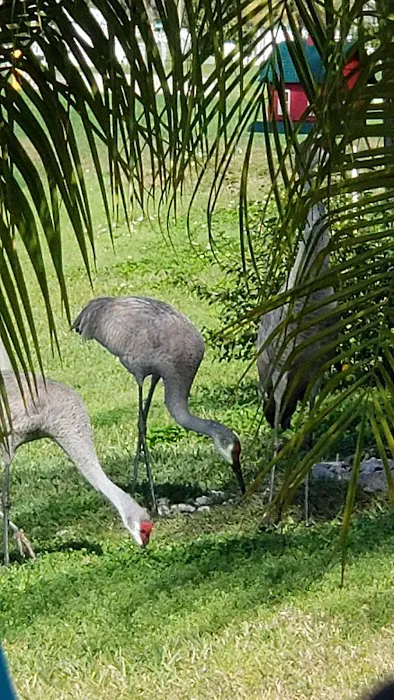 Tanglewood Mobile Village Association Picture 4