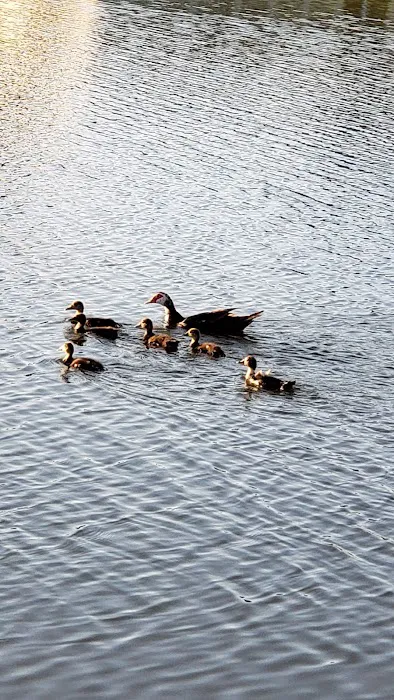 Tanglewood Mobile Village Association Picture 5