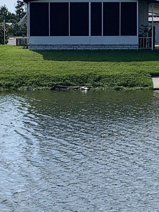 Tanglewood Mobile Village Association Picture 8