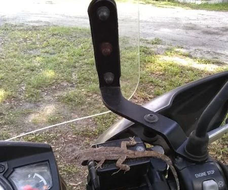 Shady Oaks Mobile Home Park