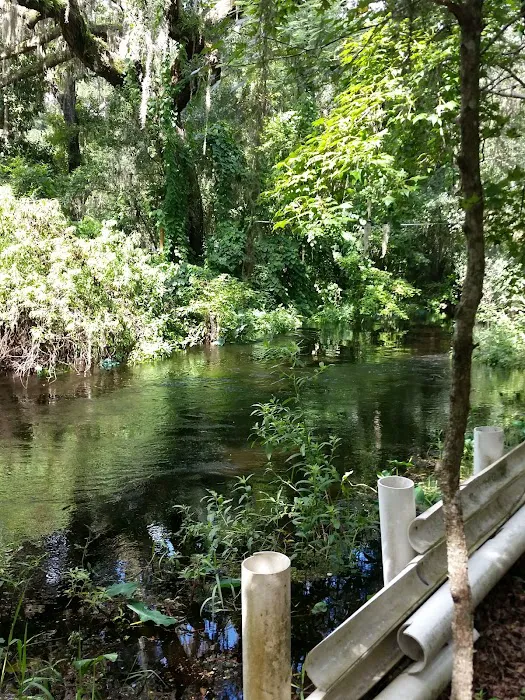 Horse Creek Village Picture 1