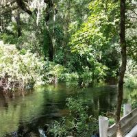 Horse Creek Village ico