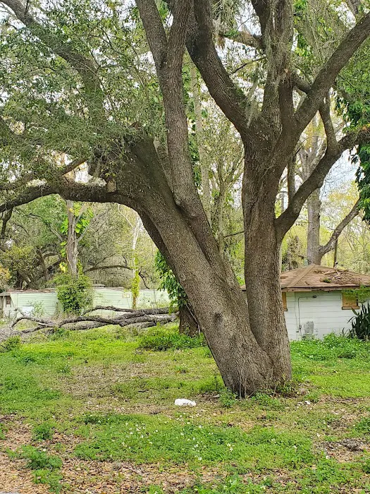 Horse Creek Village Picture 3
