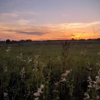 Great Oak RV Resort ico