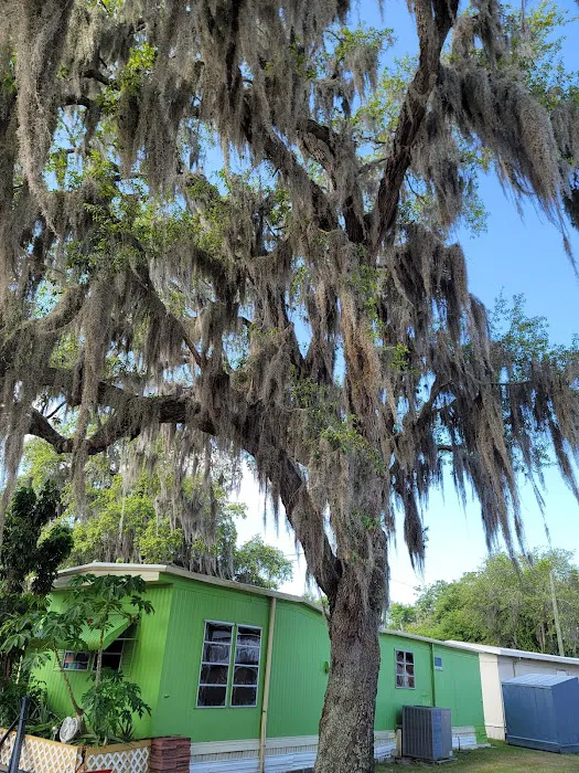 Whispering Oaks Mobile Home Park Picture 3