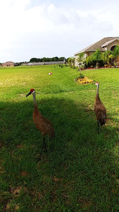 West View Ridge Picture 9