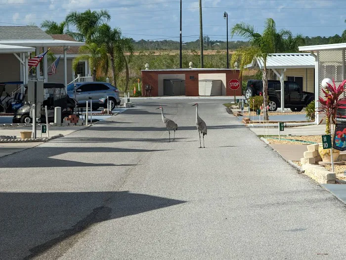 West View Ridge Picture 7