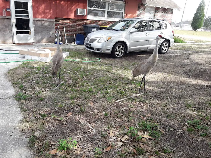 West View Ridge Picture 5