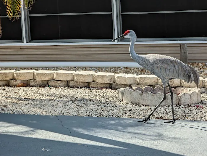 West View Ridge Picture 6