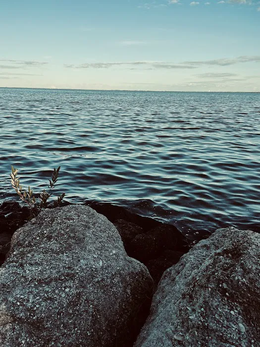 Palm Harbor Mobile Estates Picture 3