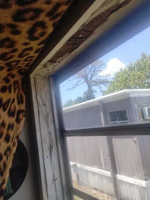 Indian River Mobile Homes Picture 4