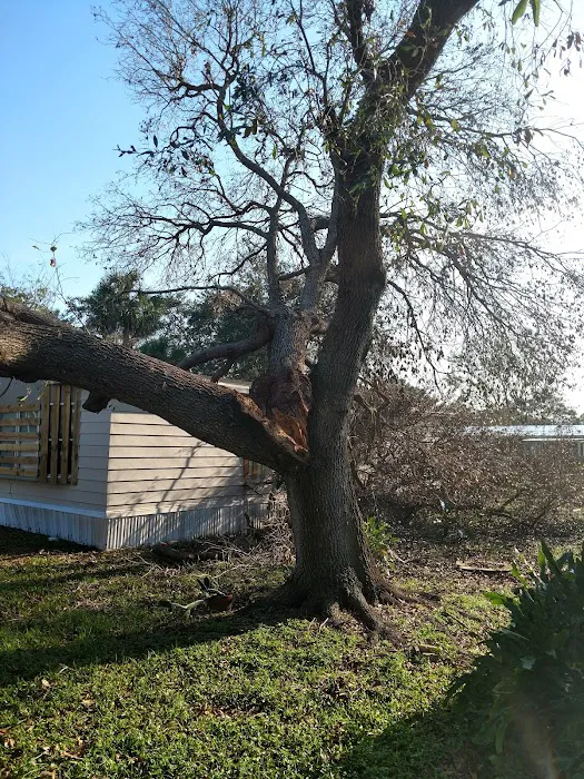 Sun Lake Village Estates Picture 5