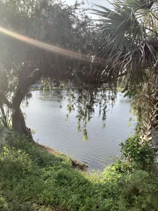 Colony Park Picture 3