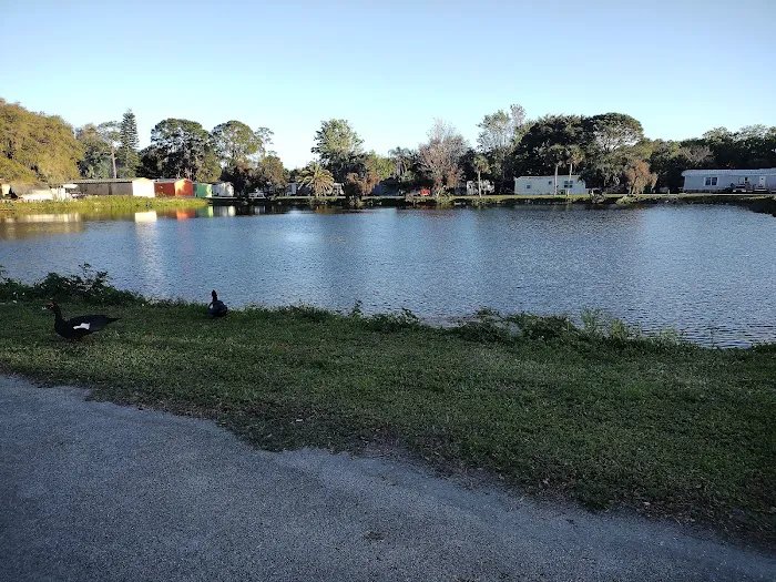 Colony Park Picture 9