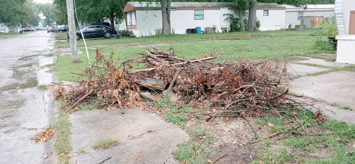Southern Gardens Mobile Home Park Picture 2