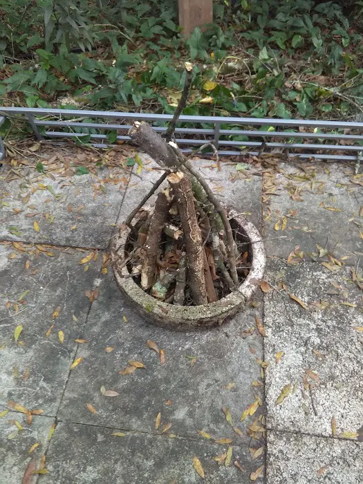 Southern Living Community Picture 9
