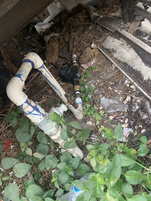 Tampa Sun Estates 3 Picture 10