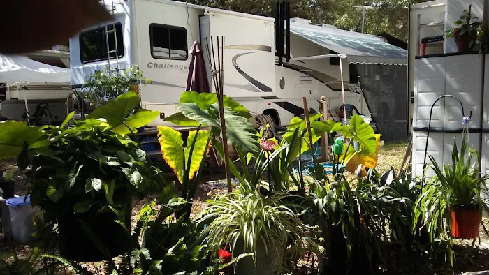 Anclote Village RV Park Picture 1