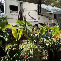 Anclote Village RV Park ico