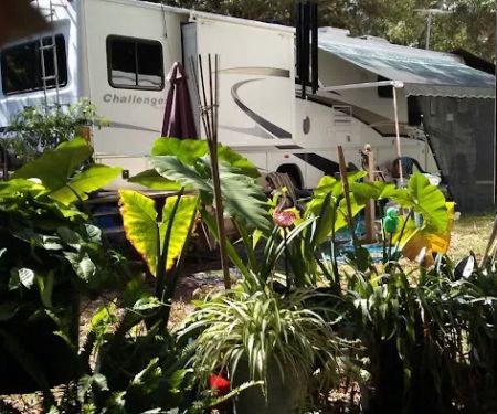 Anclote Village RV Park