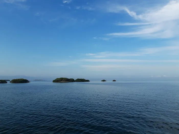 Anclote Village RV Park Picture 6