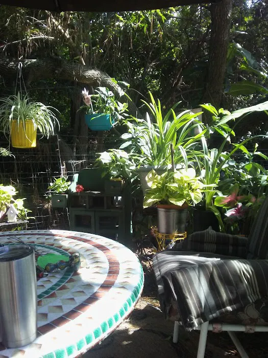 Anclote Village RV Park Picture 10