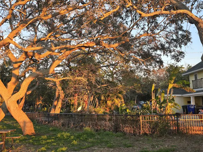 Palm Spring Estates MHC Picture 5