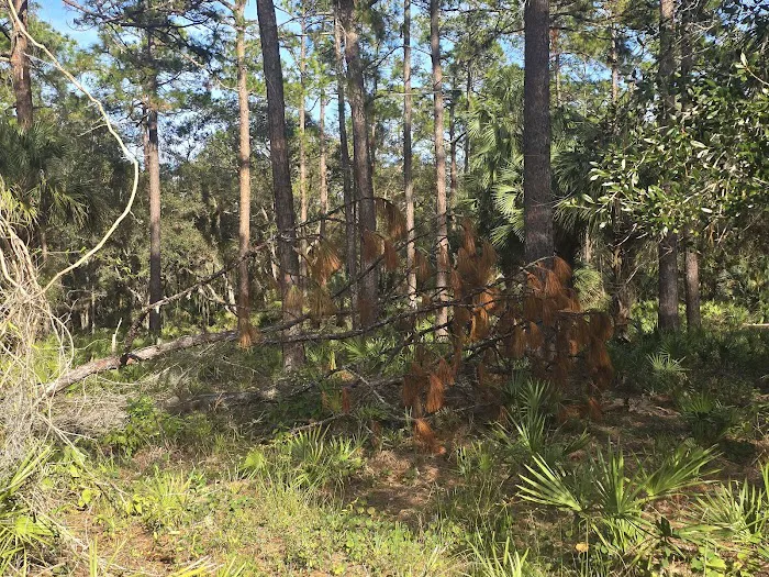 Palm Spring Estates MHC Picture 8