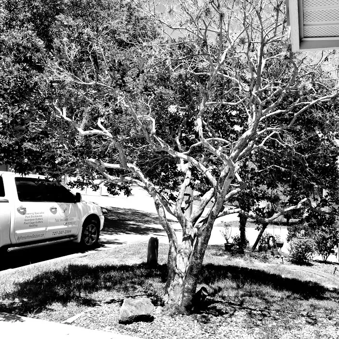 Stonehedge Residents Inc Picture 9