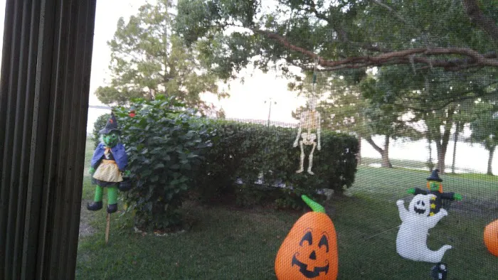 Tarponaire Mobile Home Park Picture 4