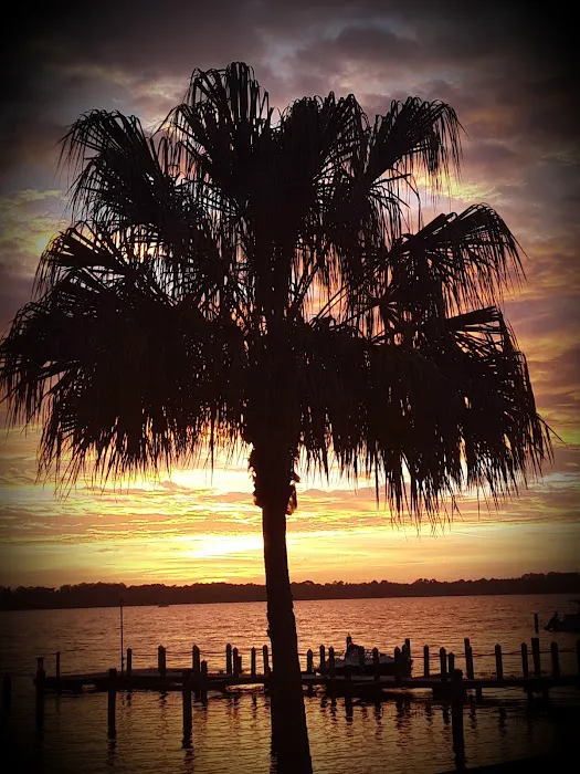 Tarponaire Mobile Home Park Picture 3