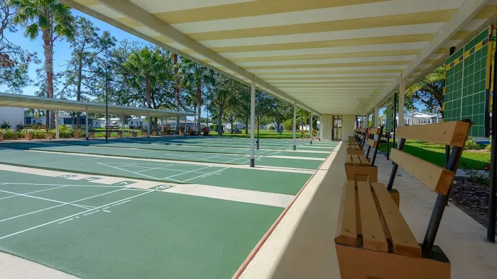 Royal Palm Village Picture 5