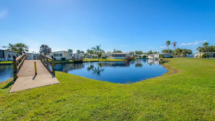Royal Palm Village Picture 3