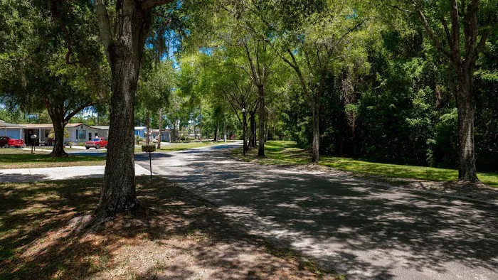 The Landings at Lake Henry Picture 7