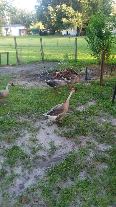 Lake View Rv Park Picture 4