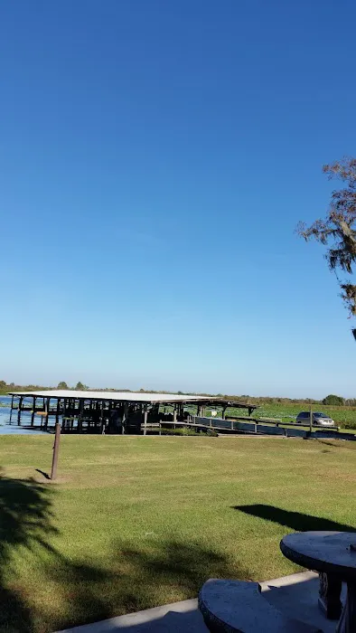 El Tonteria Mobile Court Picture 1