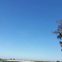 El Tonteria Mobile Court ico