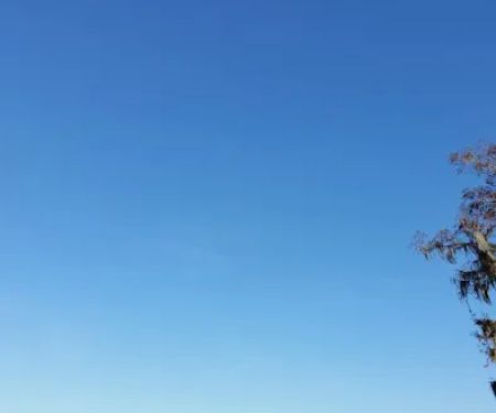 El Tonteria Mobile Court