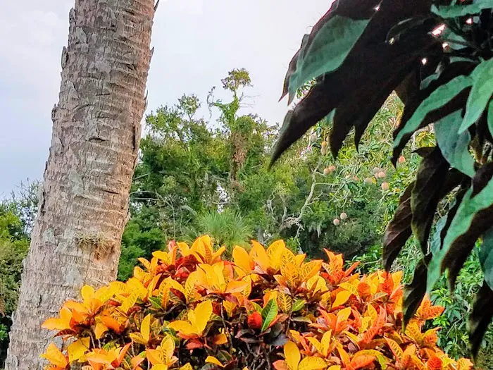 Tropical Trail Village Picture 5