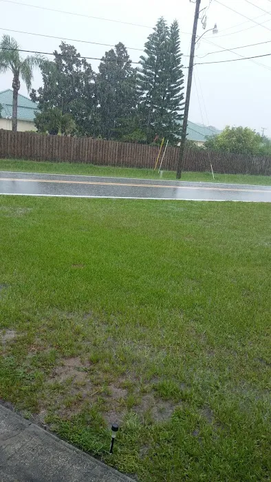 Tropical Trail Village Picture 8