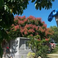 Byrd Plaza Mobile Home Park ico