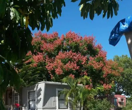 Byrd Plaza Mobile Home Park