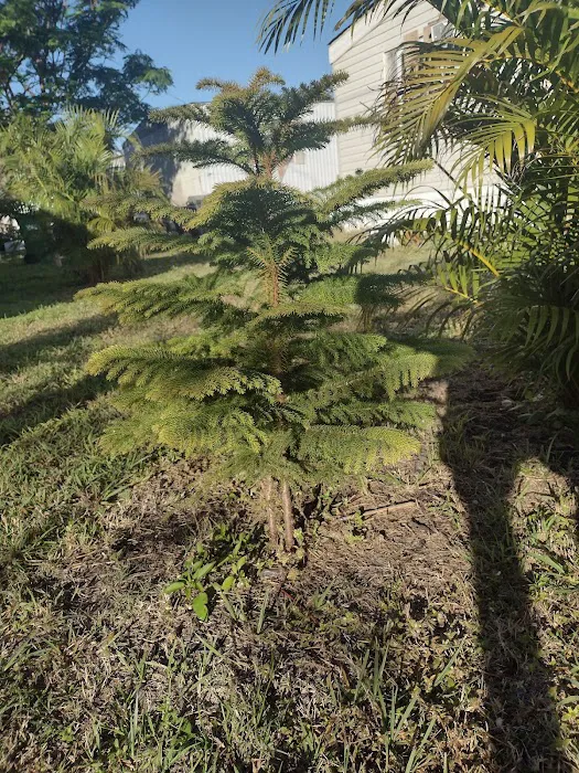 Sunrise Village Picture 5