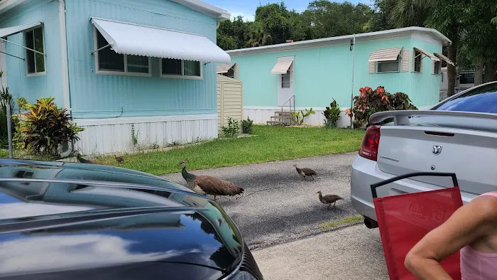 Cape Canaveral Mobile Estates Picture 2