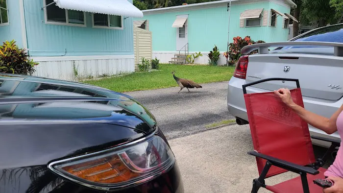 Cape Canaveral Mobile Estates Picture 6